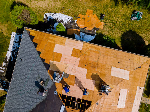 Best Roof Leak Repair  in Montz, LA